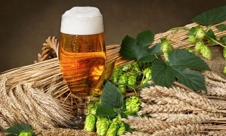 精釀啤酒中，如何選擇恰當(dāng)?shù)慕湻椒ǎ?> </a>
    </dt> 
    <dd> 
     <h4><a href=
